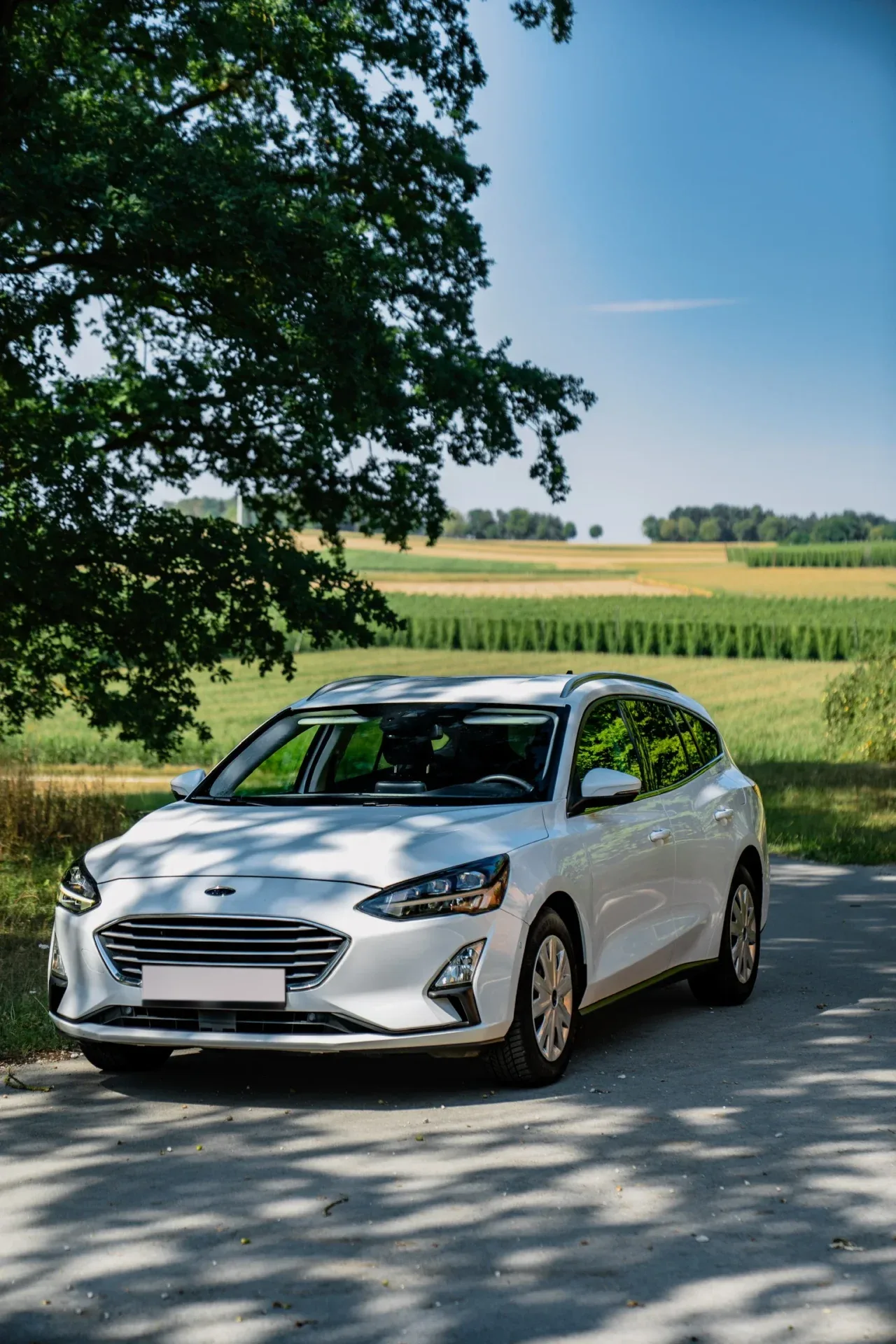 Ford Focus универсал Cool & Connect 1.5 EcoBlue AT8 · ACC · Бесключевой доступ · LED · 9