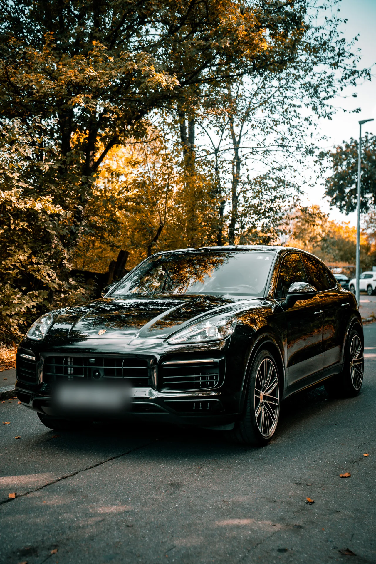 Porsche Cayenne S Coupé Platinum Edition · 440 hp · Air suspension · Rear-axle steering · Head-up · 22-inch · 8